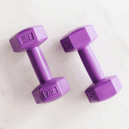 Workout Plan